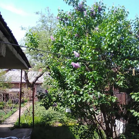 Bumbesti * Cluj-Napoca