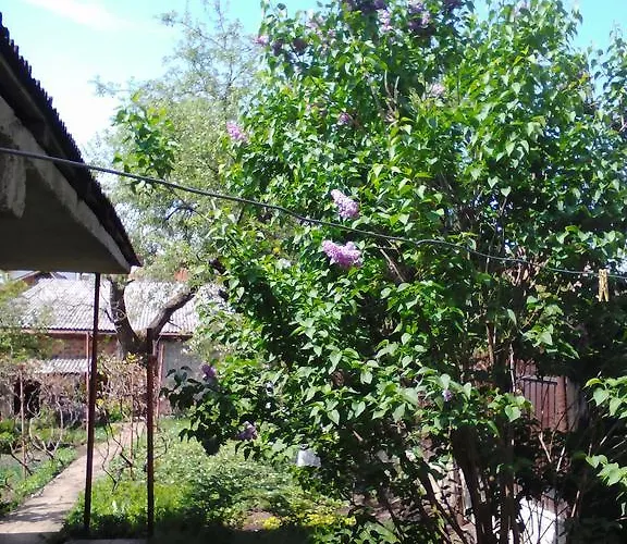 Bumbesti * Kolozsvár